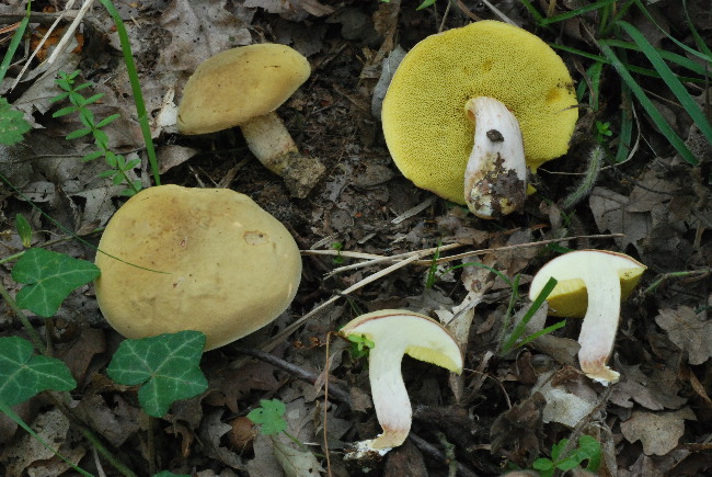 Uscita del 18 Cima di Tuoro (PG)